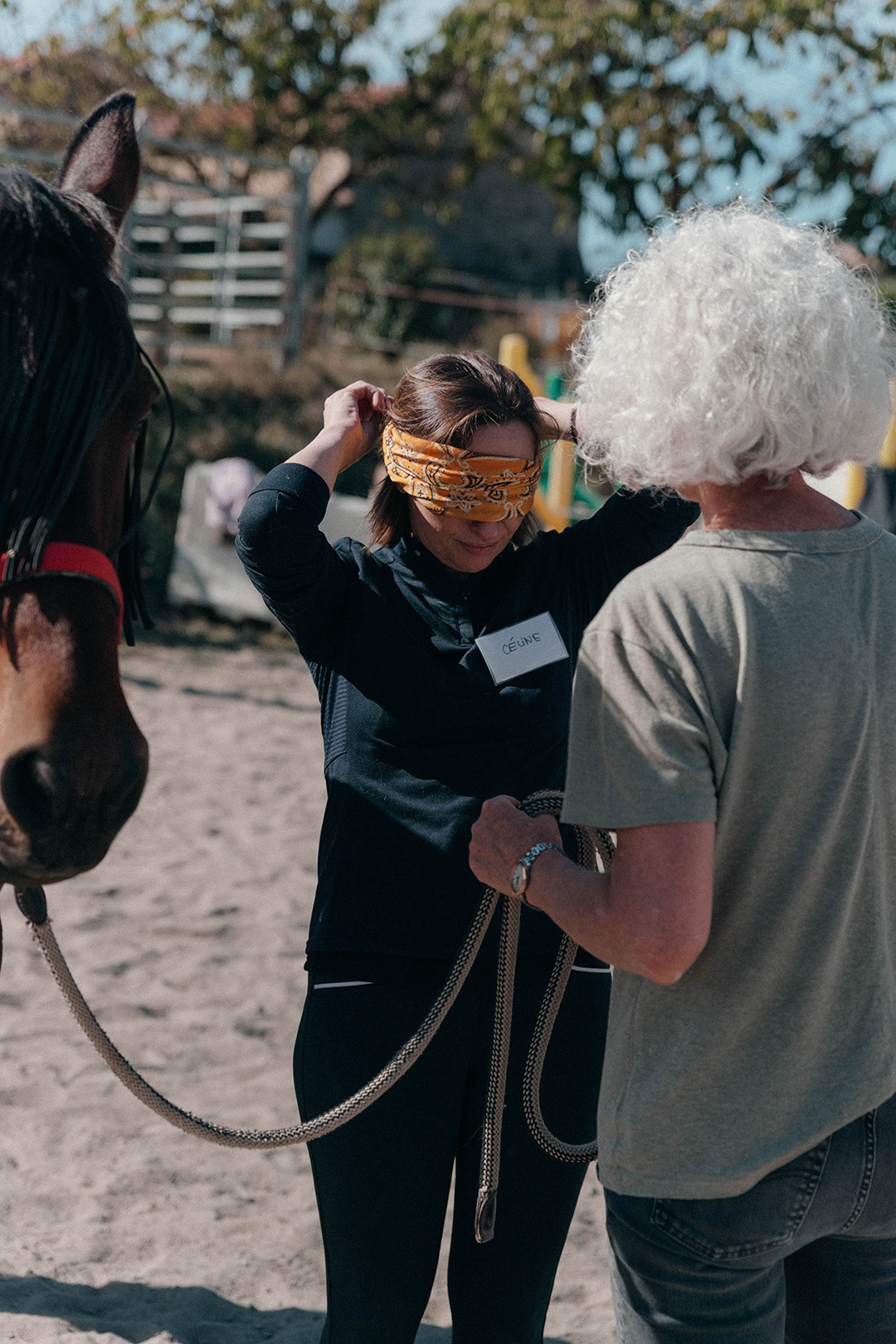 reportage-photo-equicoaching-14