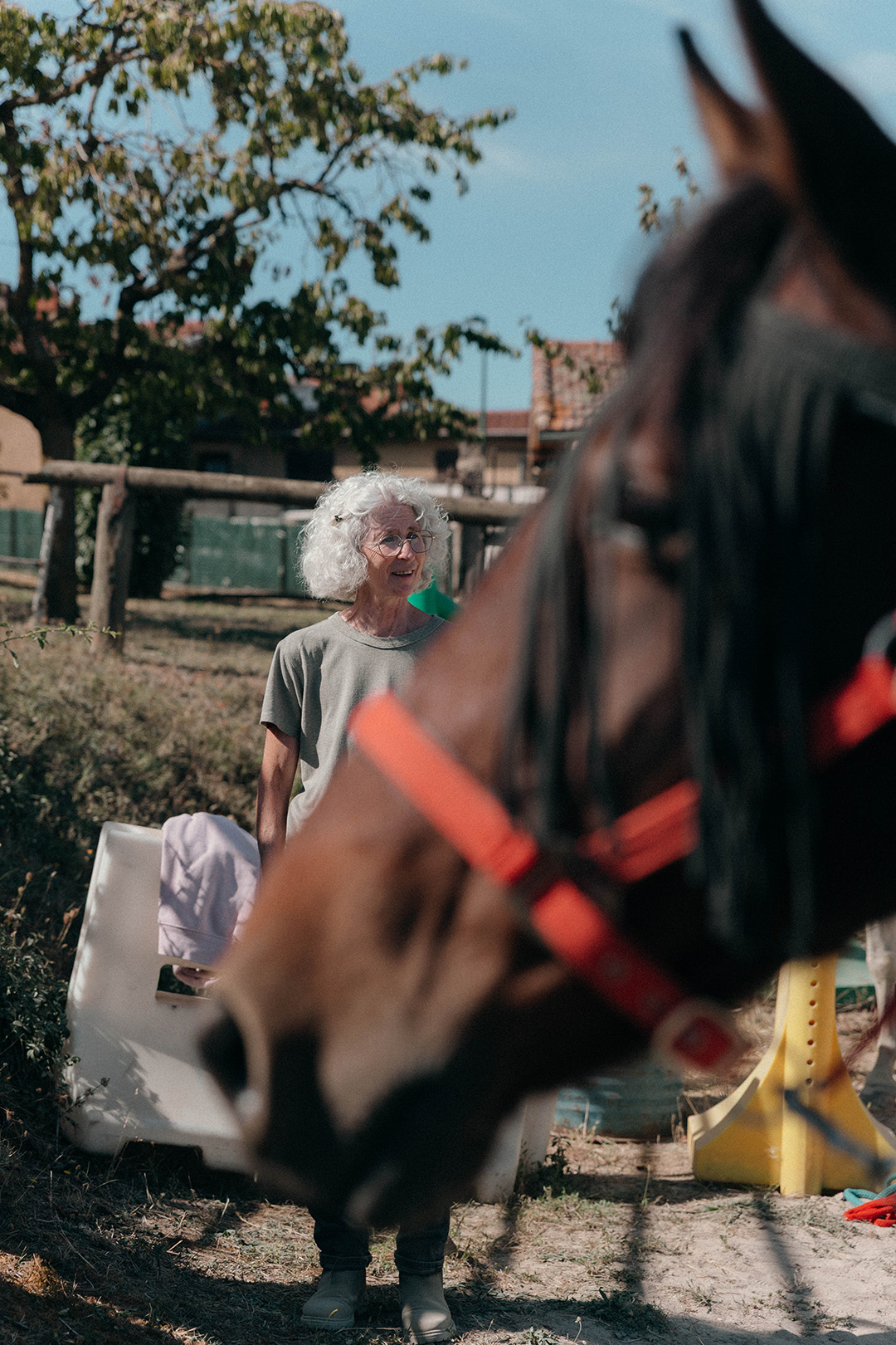 reportage-photo-equicoaching-22
