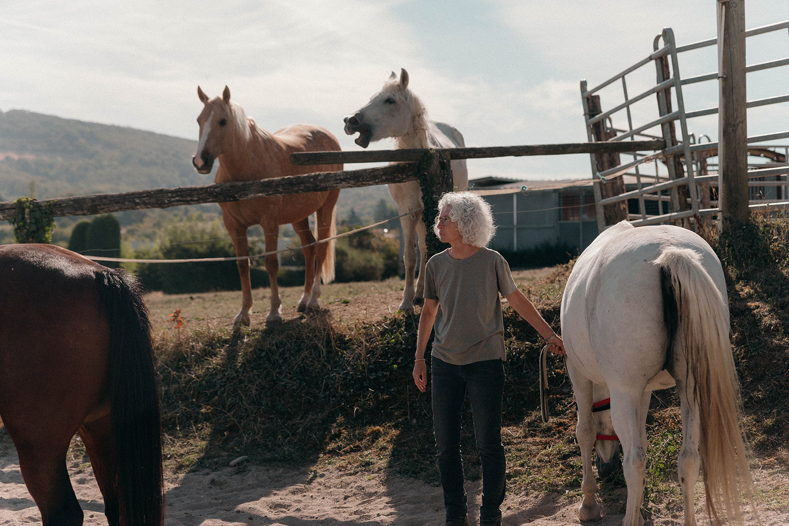reportage-photo-equicoaching-7