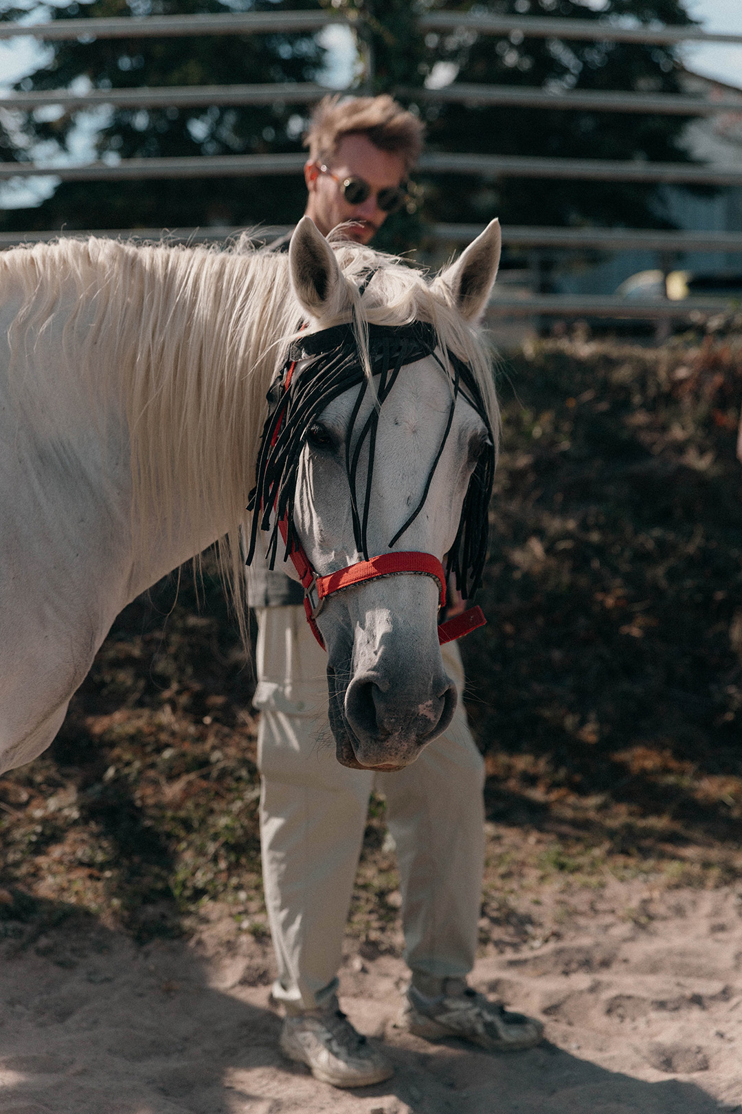 reportage-photo-equicoaching-8